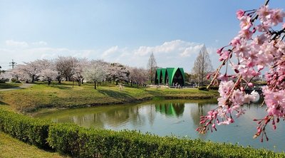 🌳 오치아이 공원 (오치아이코엔) 이미지 2